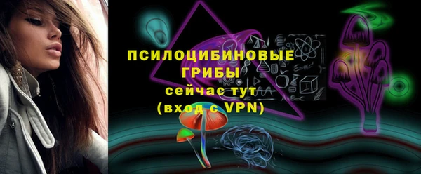 МДПВ Алзамай