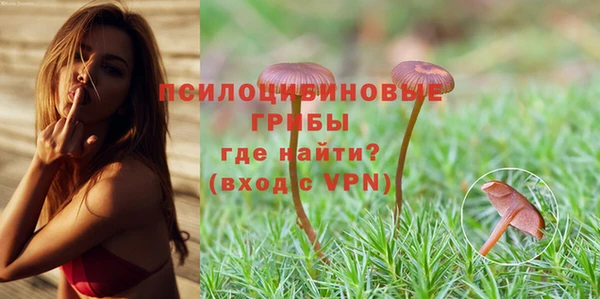 МДПВ Алзамай