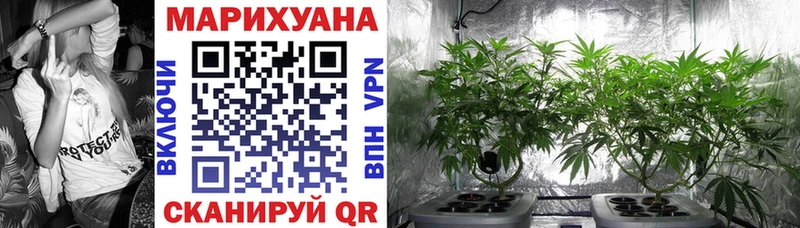Бошки марихуана конопля продажа наркотиков Дегтярск